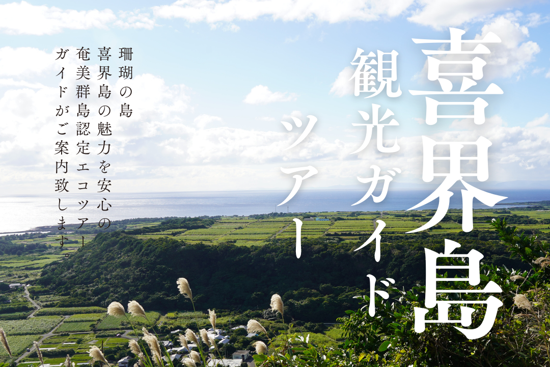喜界島ベーシック 観光ガイドツアーレビュー