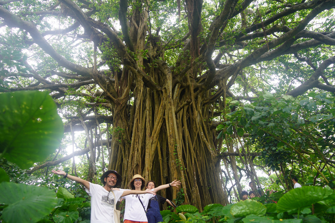 【12月ご予約受付中】HOWBE 喜界島観光ベーシックガイド