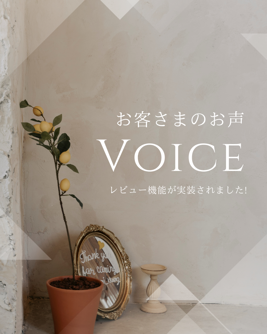 【お客様レビュー掲載】喜界島観光ガイドツアーの“実際の声”が読めるようになりました（評価★4.9）
