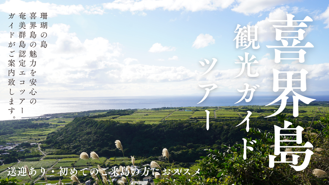 HOWBEでは、安心安全の奄美群島認定エコツアーガイドによる喜界島のベーシック観光ツアーを2025年4月よりスタート致します!