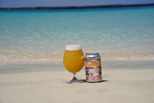 【3】お得な24本セット Slow Time × 24本  (Hazy IPA)